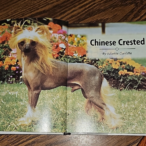 KENNEL CLUB BOOK - Chinese Crested: A Comprehensive Guide-Owning & Caring-Dog - Picture 3 of 10